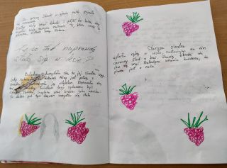 IMG20240227093653~2_copy_2312x1714